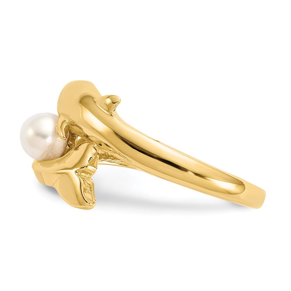 14K Gelbgold Ring poliert mit Delfin und FW-Zuchtperle