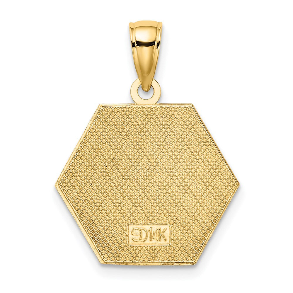 14K Gelbgold Emailliert Strukturiert Rückseite Caduceus Medizinisch Plättchen