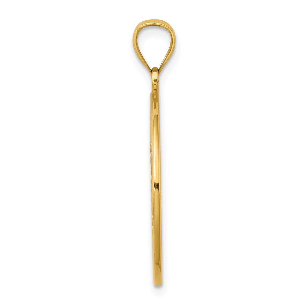 14K Gelbgold-Charm mit Emaille-Kolibris und Blumen im Kreis