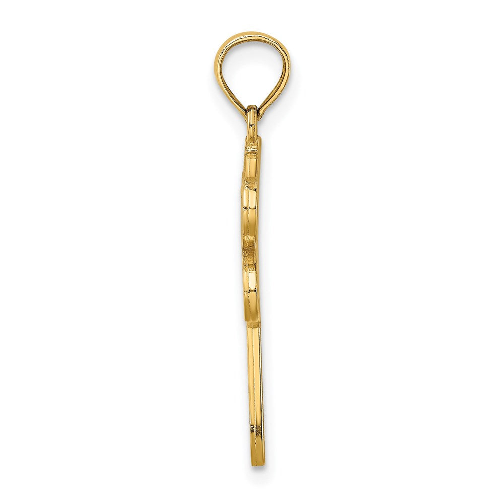 14K Gelbgold Mehrfarbig Emaille Libelle Charm
