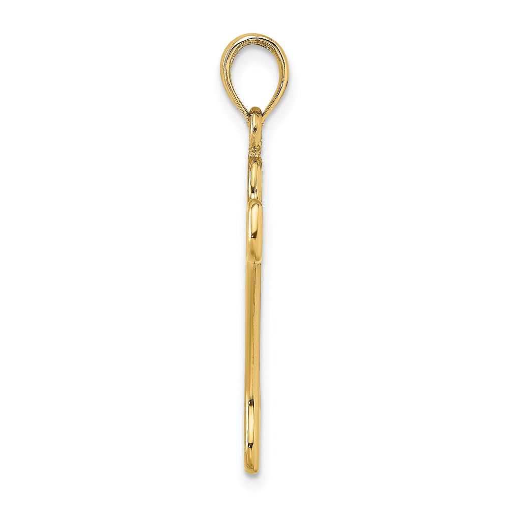 14K Gelbgold Ausgeschnitten Poliert Hund Bone Charm
