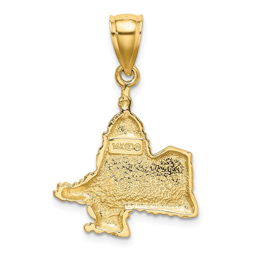 14K Gelbgold Charm mit Profil des Kapitols von Washington D.C