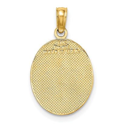 14K Gelbgold Fleur-de-Lis auf ovaler Scheibe Charm