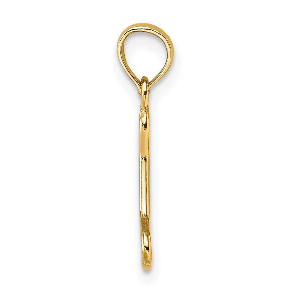 14K Gelbgold Ausgeschnitten Poliert Mini Hund Bone Charm