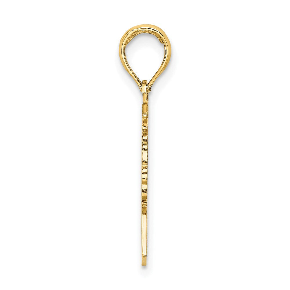 14K Gelbgold Poliert Female Abschluss Profile mit Diploma Charm
