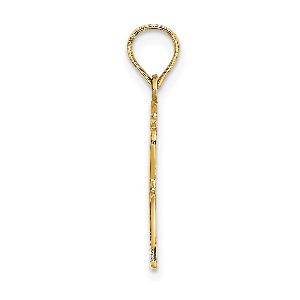 14K Gelbgold Poliert Male Abschluss Profile Charm