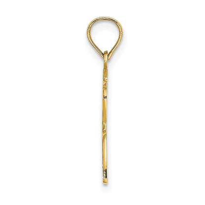 14K Gelbgold Poliert Male Abschluss Profile Charm