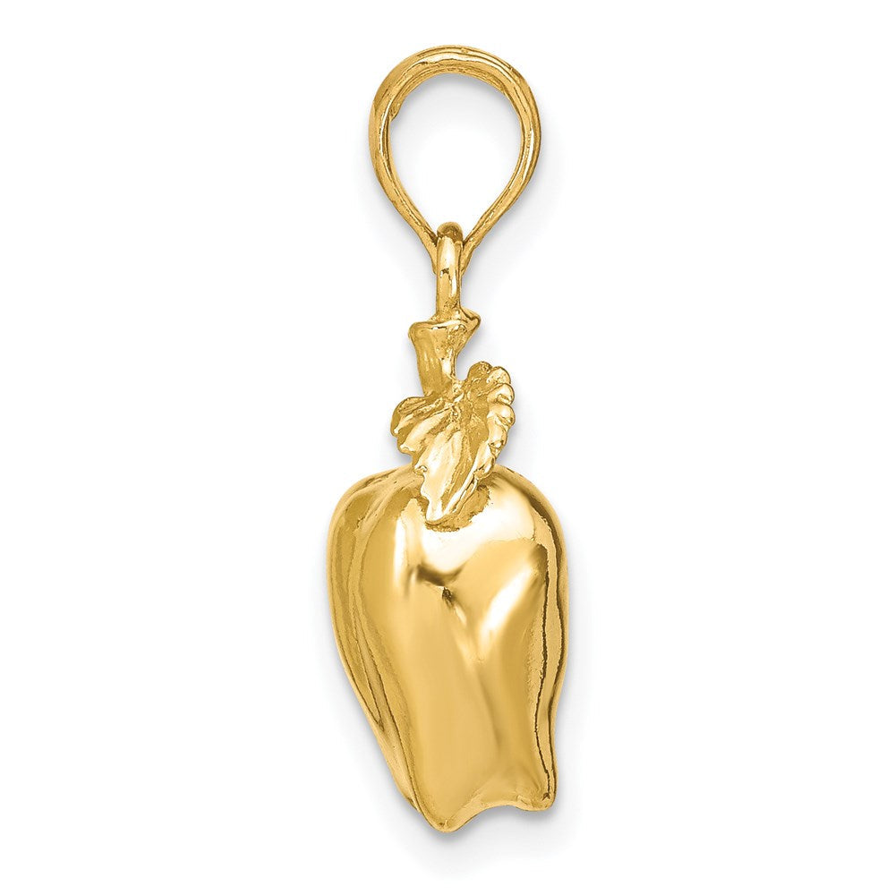 14K Gelbgold 3-D Apfel-Charm mit Stiel und Blatt