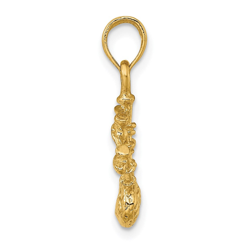 14K Gelbgold 3D-Dudelsack-Charm