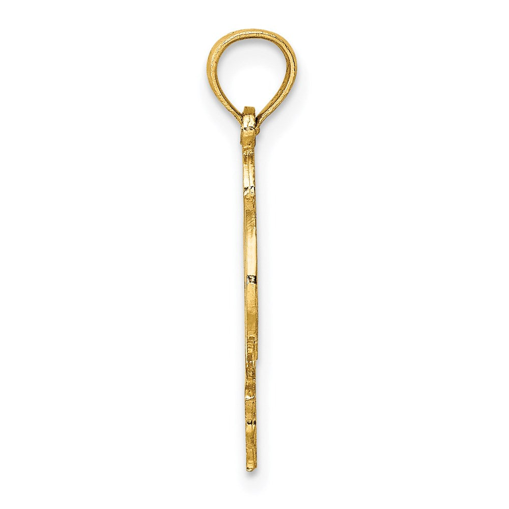 14K Gelbgold Flach und Poliert Delfin Charm