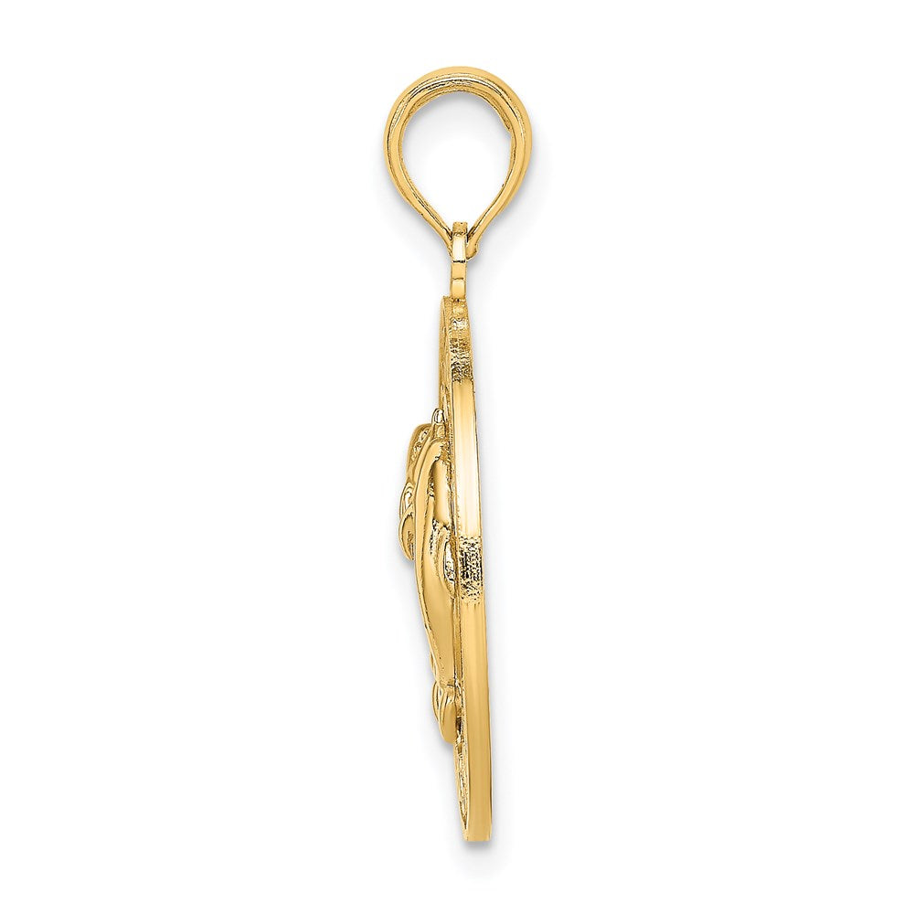 14K Gelbgold Nassau-Charm mit Delfin-Kreis