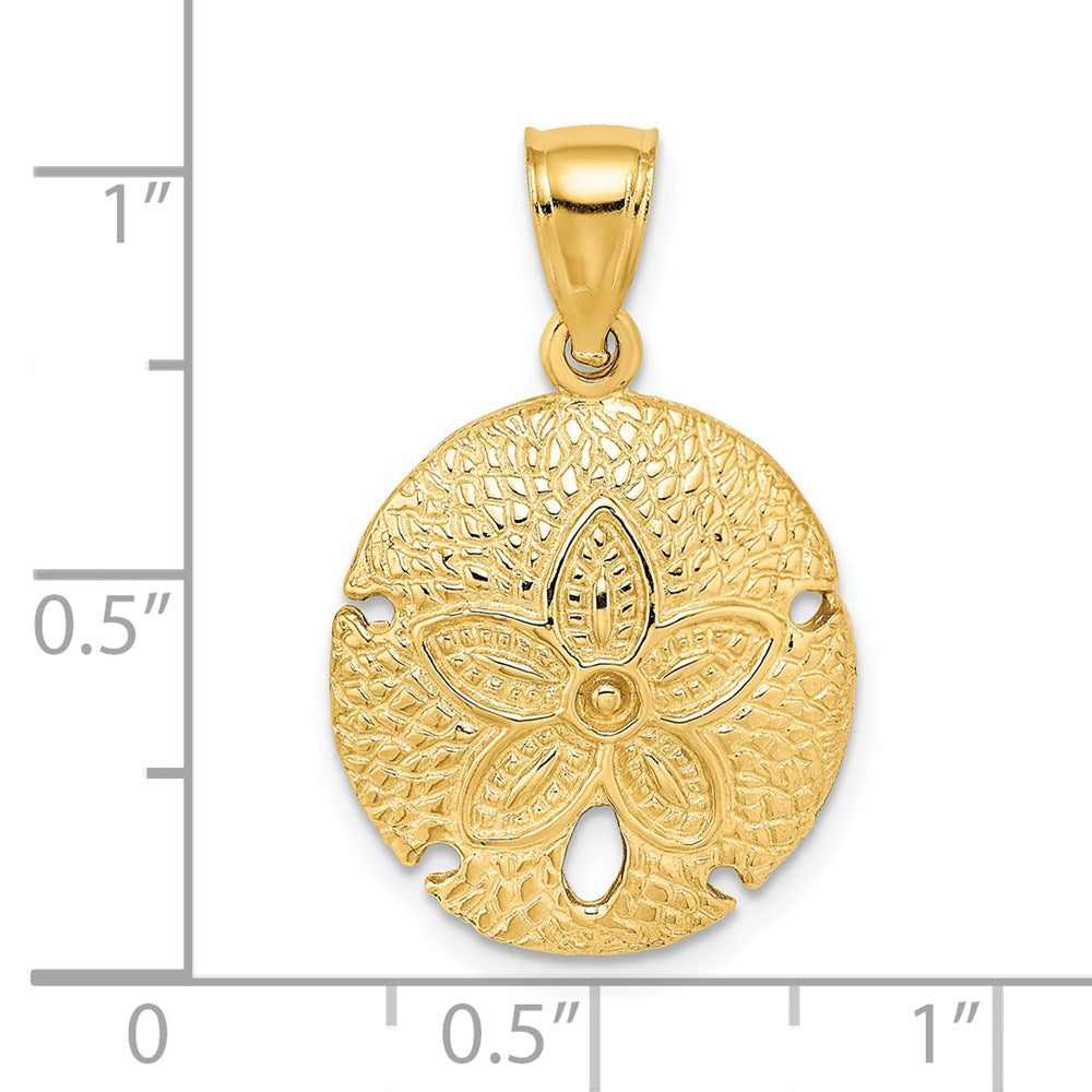 14K Gelbgold Sanddollar-Charm