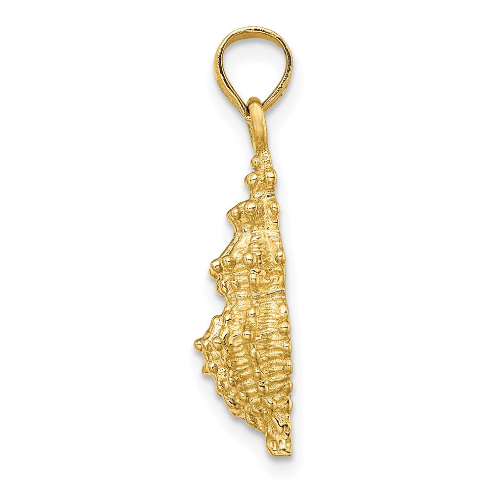 14K Gelbgold Muschel-Charm (Meeresschnecke)