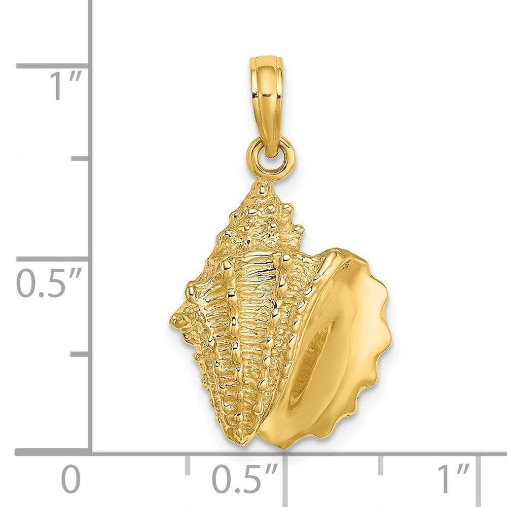 14K Gelbgold Muschel-Charm (Meeresschnecke)