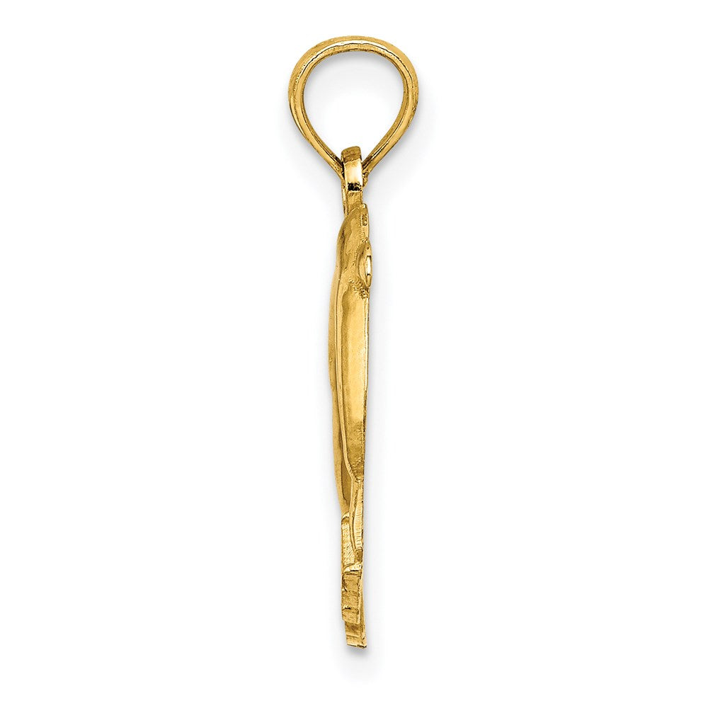 14K Gelbgold Poliert Rehoboth mit Springend Dolphins Charm