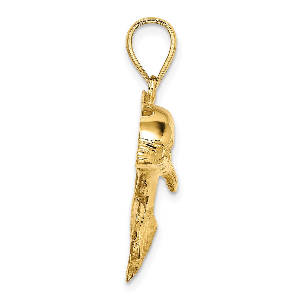 14K Gelbgold 2-D polierter gravierter Delfin-Charm