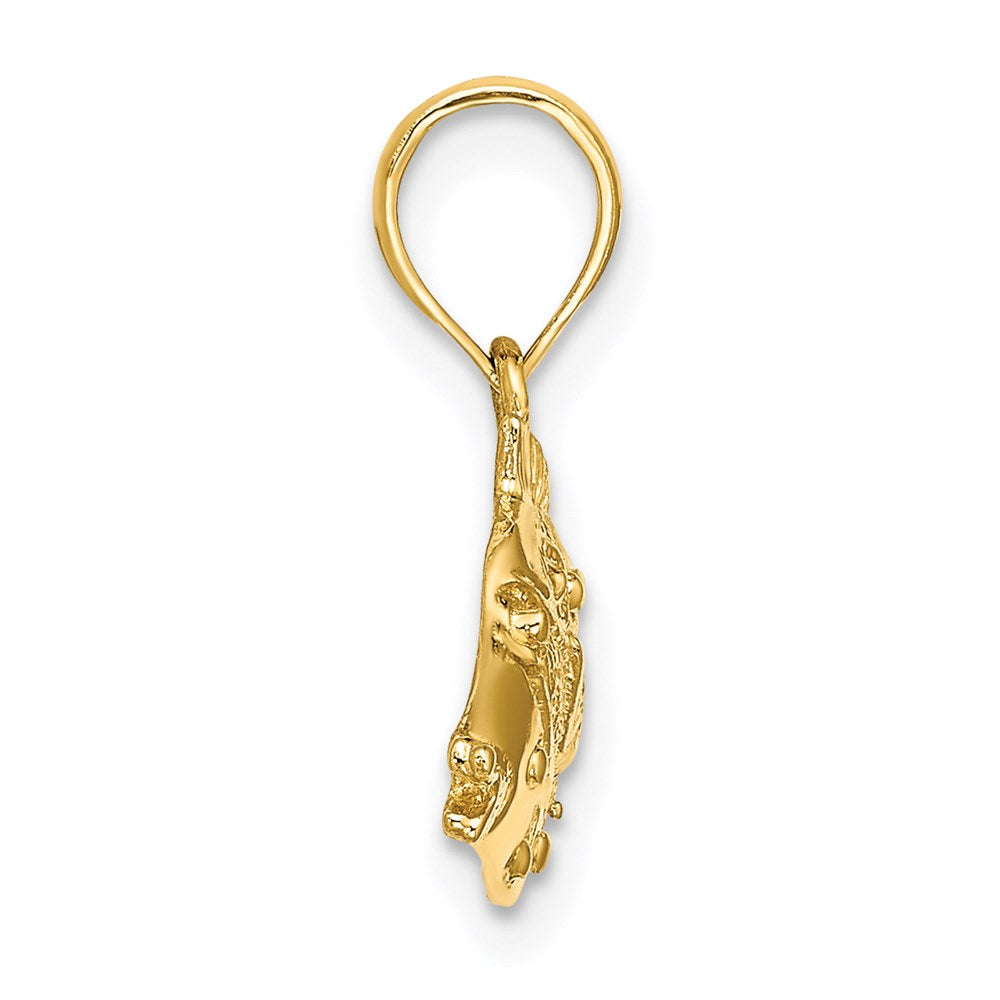 14K Gelbgold 2-D Polierter Gravierter Fisch-Charm