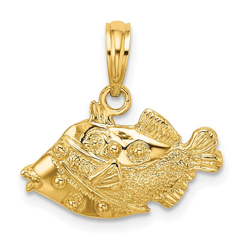 14K Gelbgold 2-D Polierter Gravierter Fisch-Charm