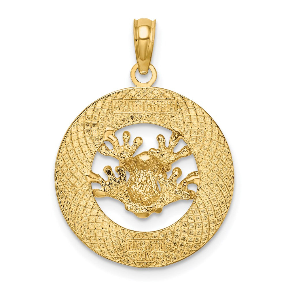 14K Gelbgold ANTIGUA W.I. Kreis-Charm mit Frosch