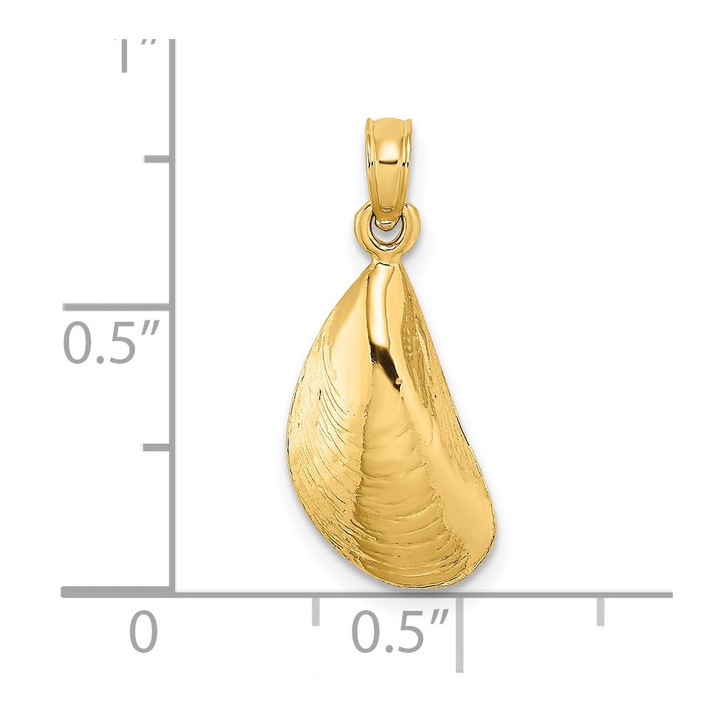 14K Gelbgold Poliert Mussel Muschel Charm