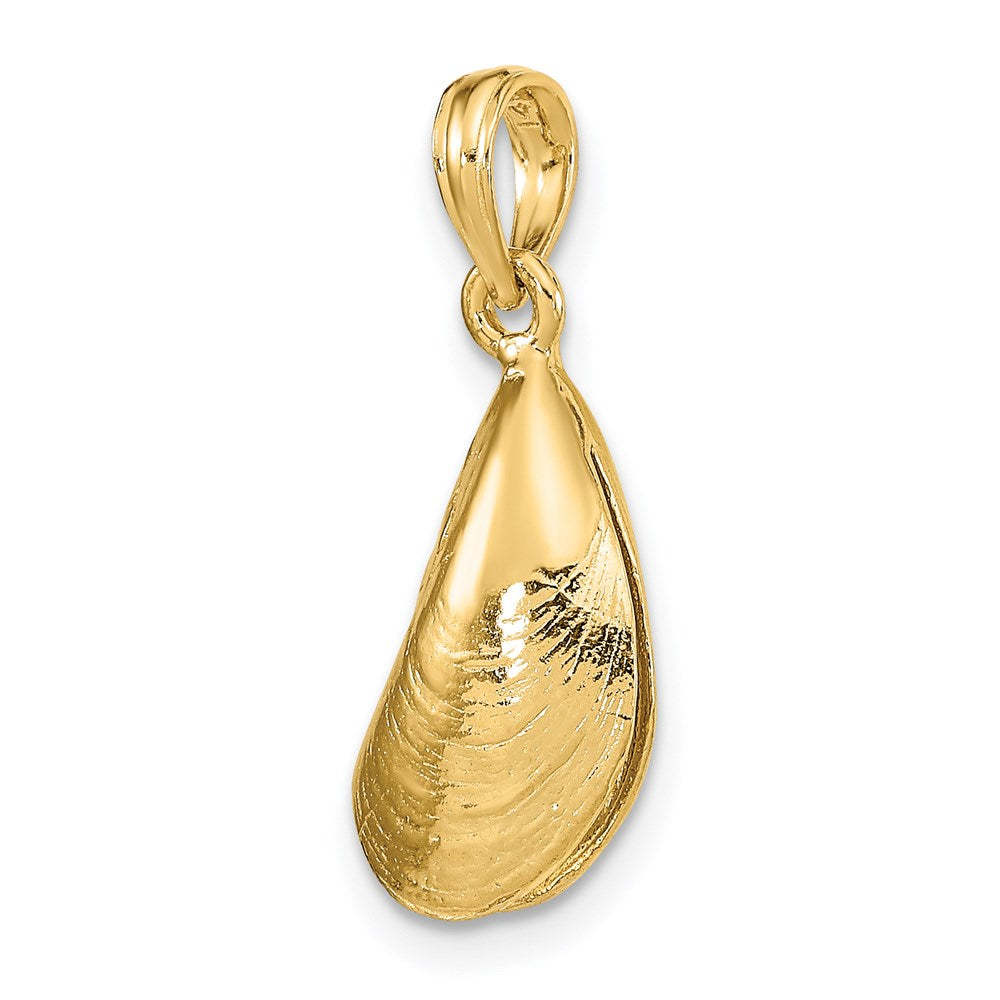 14K Gelbgold 3-D Poliert Muschelschale Charm