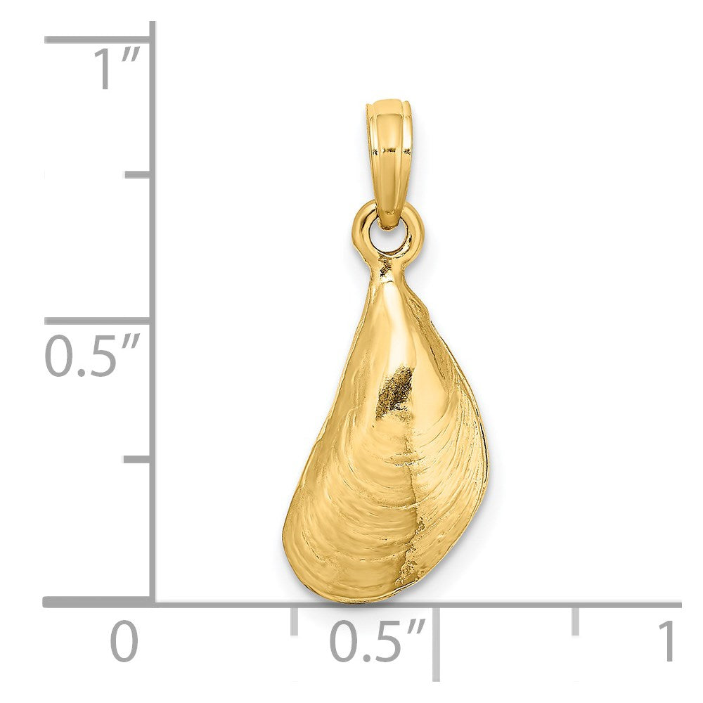 14K Gelbgold 3-D Poliert Muschelschale Charm