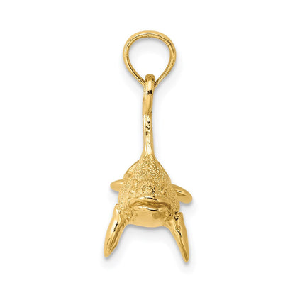14K Gelbgold 3-D Orca-Charm mit Struktur
