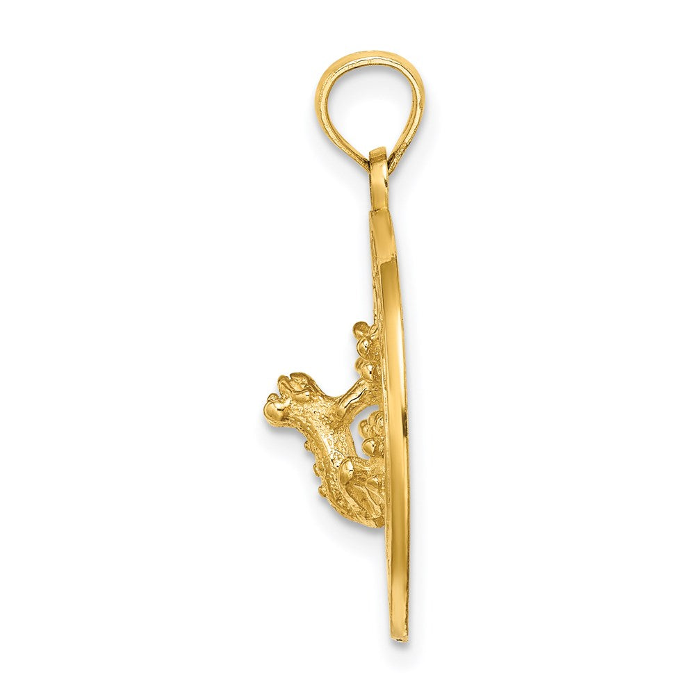 14K Gelbgold SANIBEL Charm mit Frosch-Kreis-Motiv