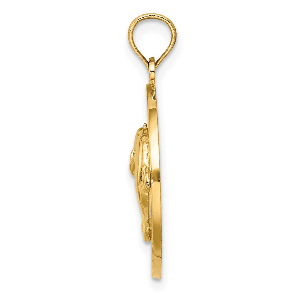 14K Gelbgold FLORIDA mit Delfinen Kreis-Charm