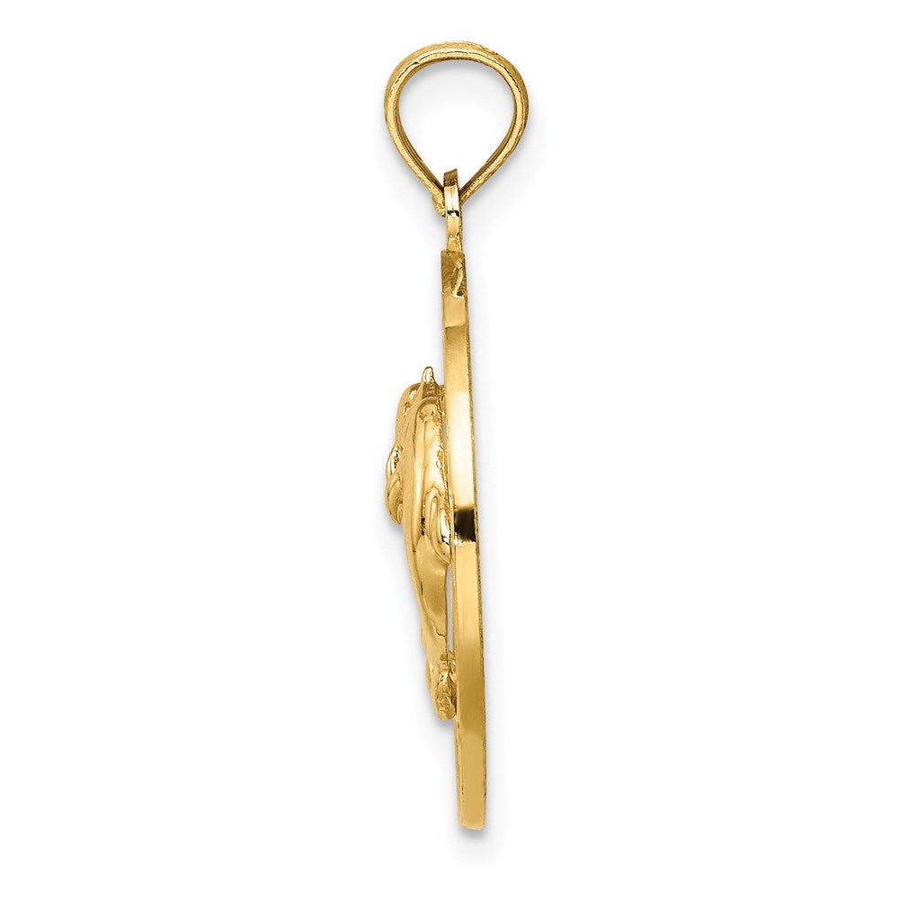 14K Gelbgold PAWLEYS ISLAND Delfin-Charm