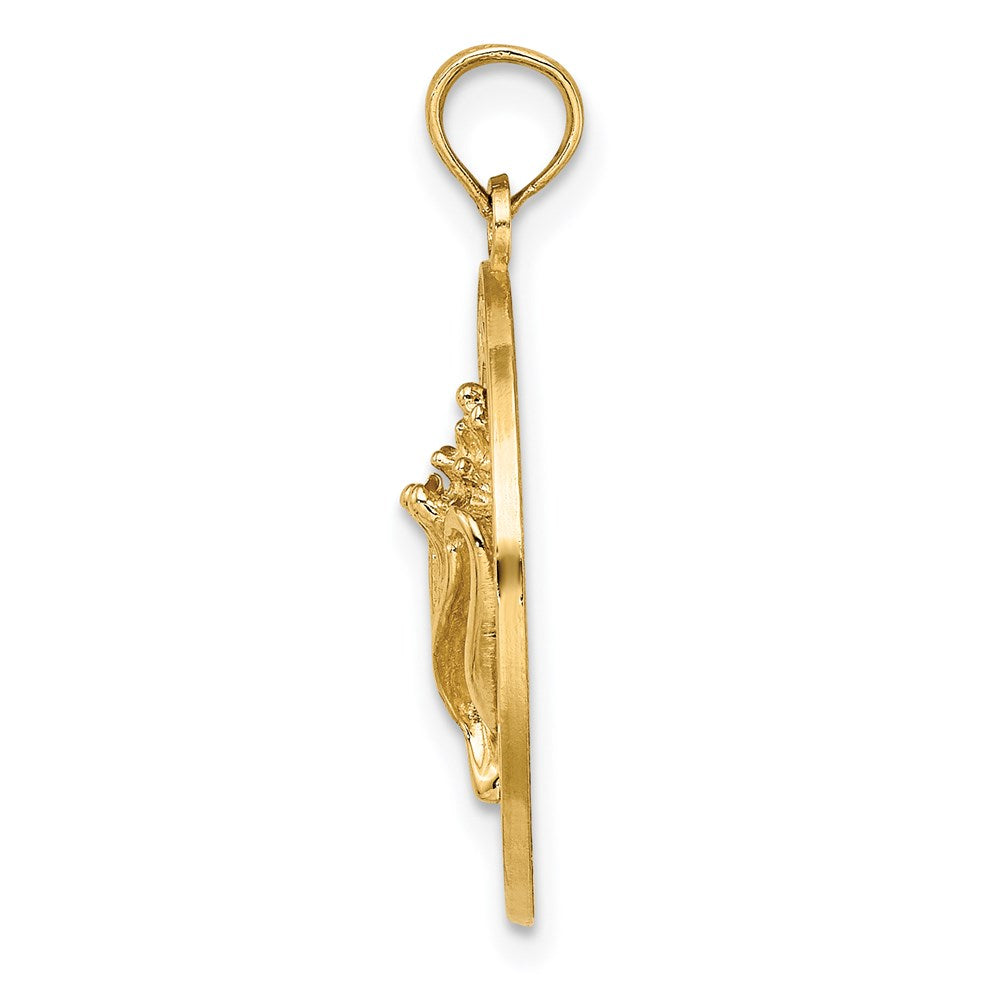 14 K Gelbgold Muschel-Charm "PAWLEYS ISLAND" (Kegelschnecke)
