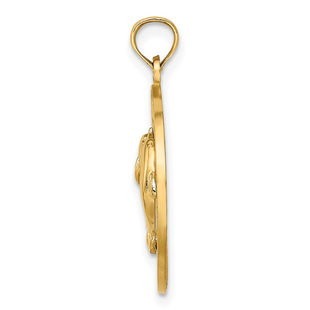 14K Gelbgold MARCO ISLAND Kreis-Charm mit Delfinen