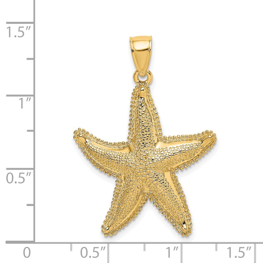 14 Karat Gelbgold Strukturierter Seestern-Charm