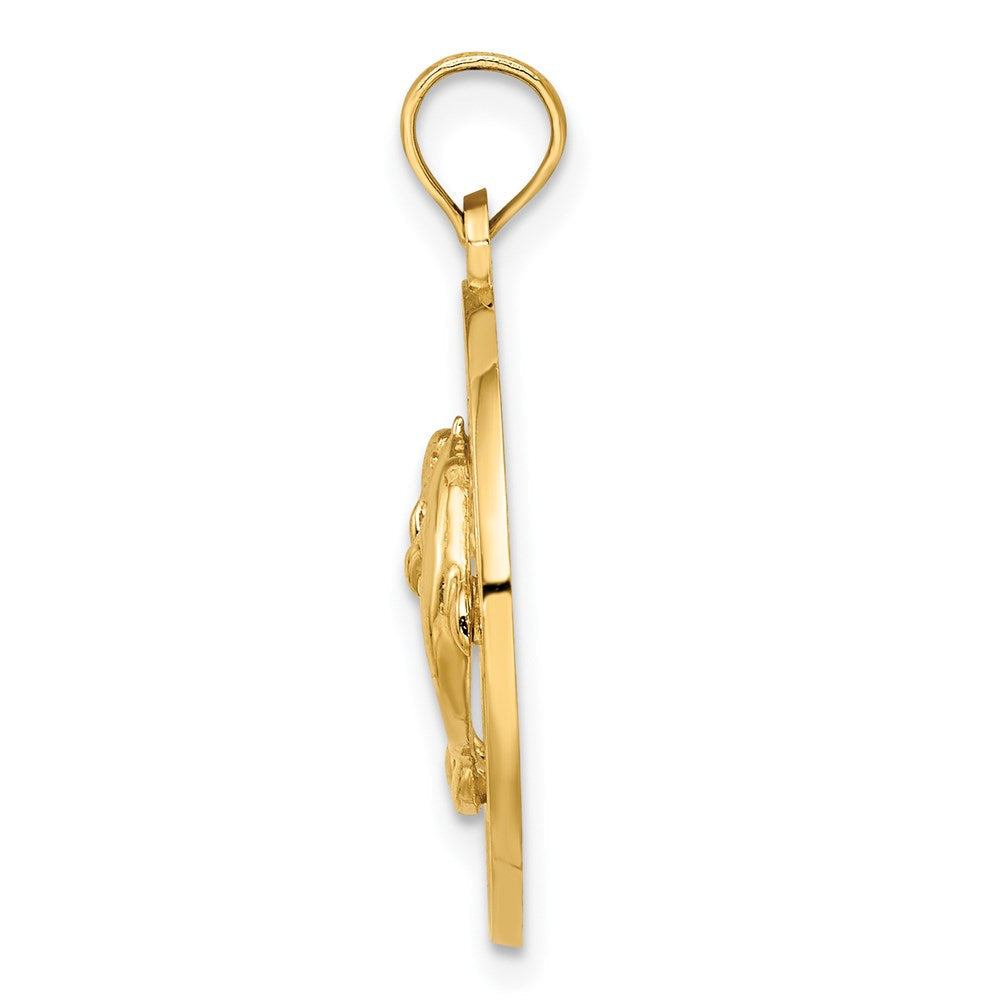 14K Gelbgold CHARLESTON Dolphins Charm
