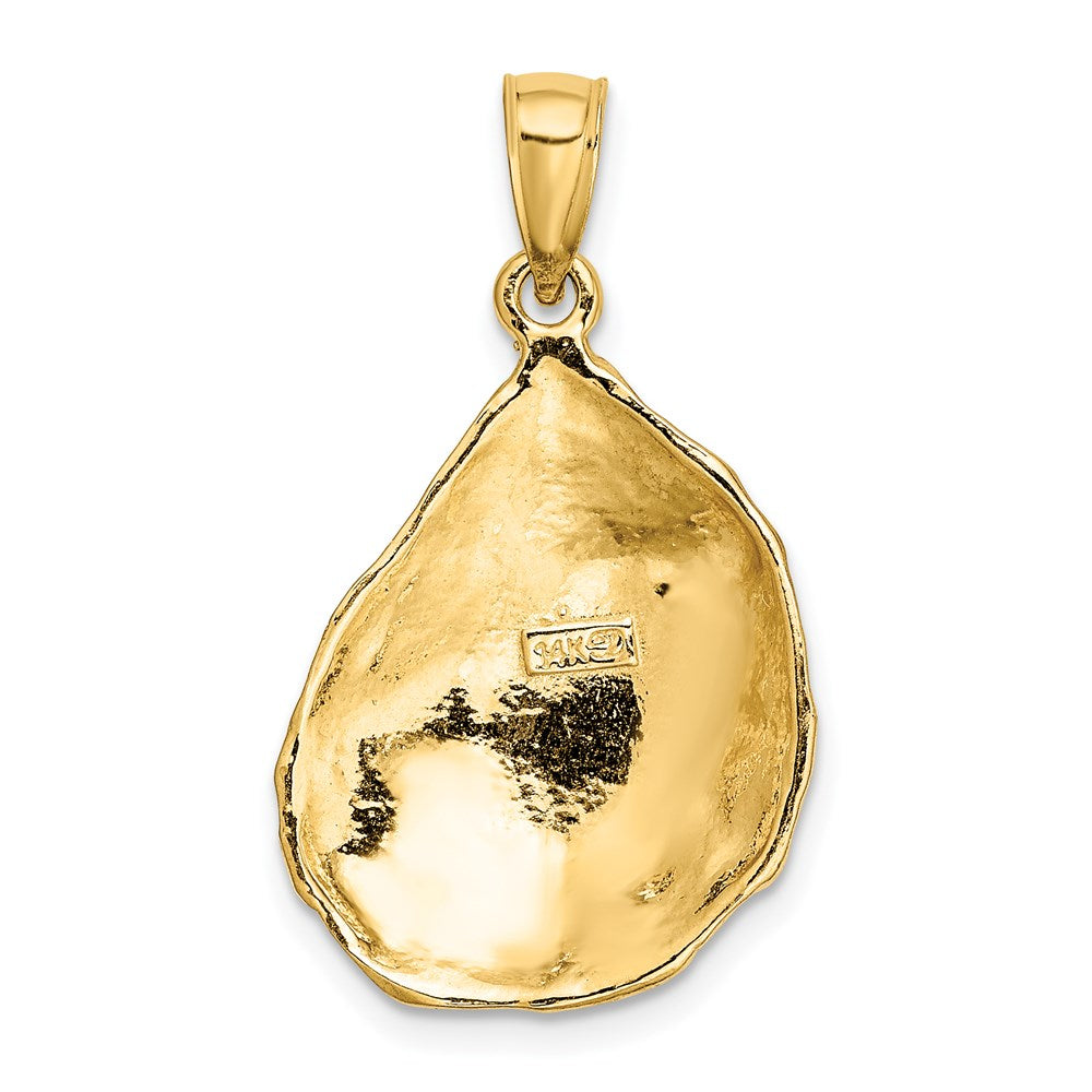 14K Gelbgold Austern-Charm, strukturiert und poliert