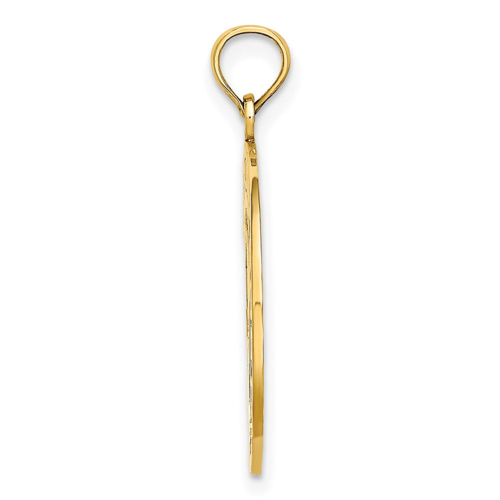 14K Gelbgold KENNEBUNKPORT Delfine Charm