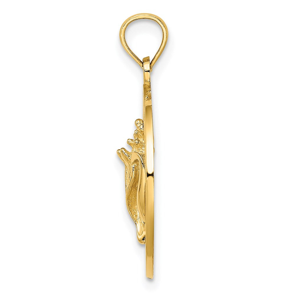 14K Gelbgold JAMAICA Kreis-Charm mit Muschel