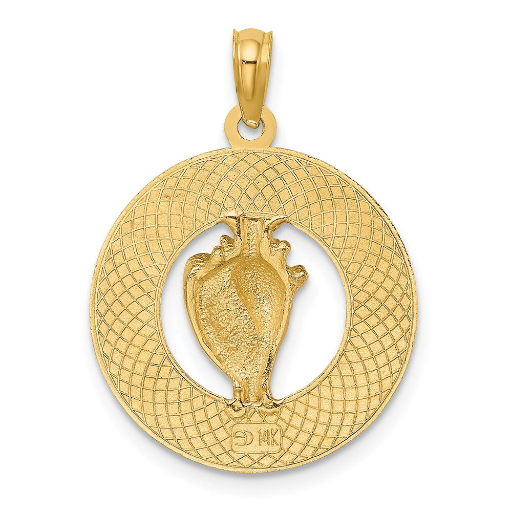 14K Gelbgold JAMAICA Kreis-Charm mit Muschel