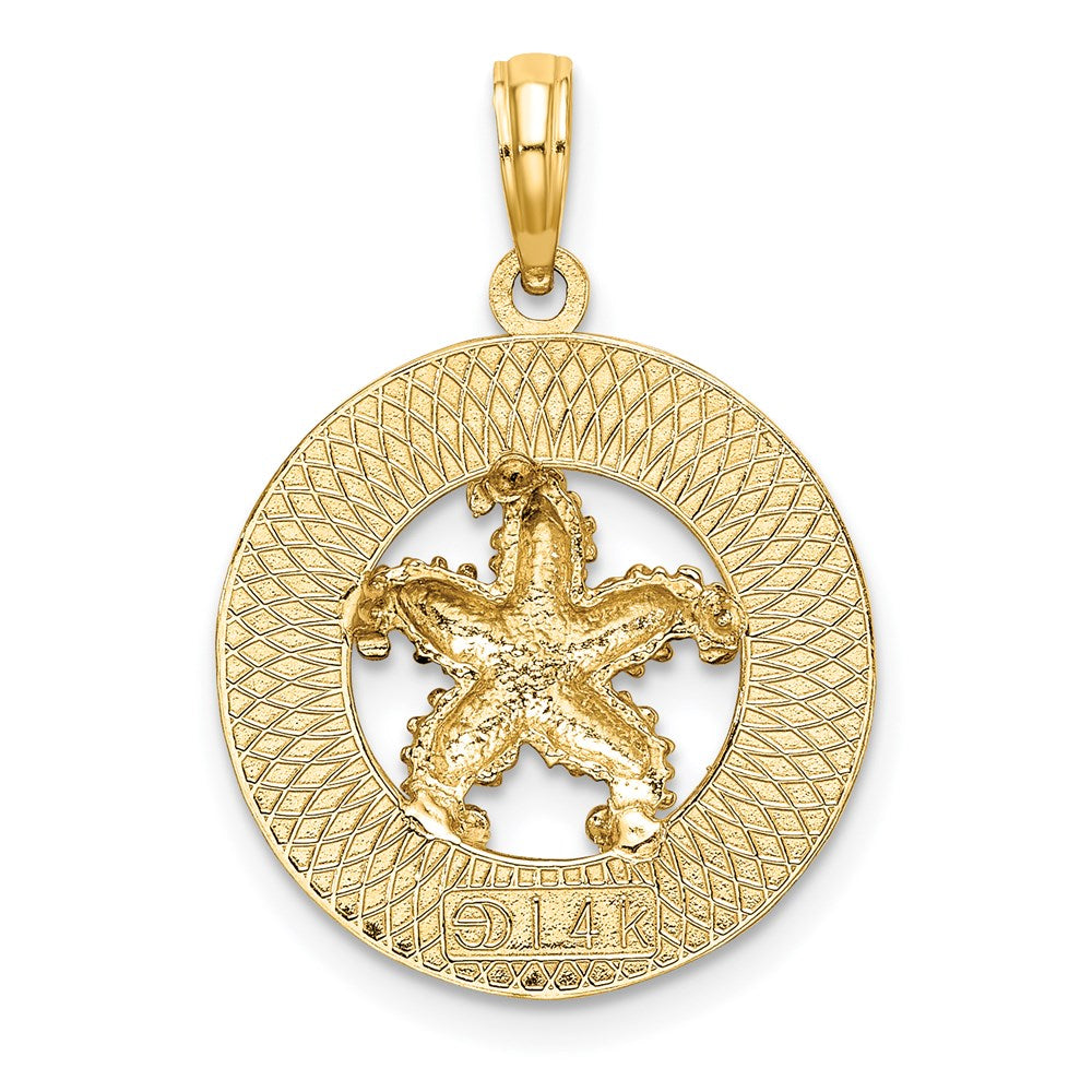 14K Gelbgold Cape-Cod-Seestern-Charm