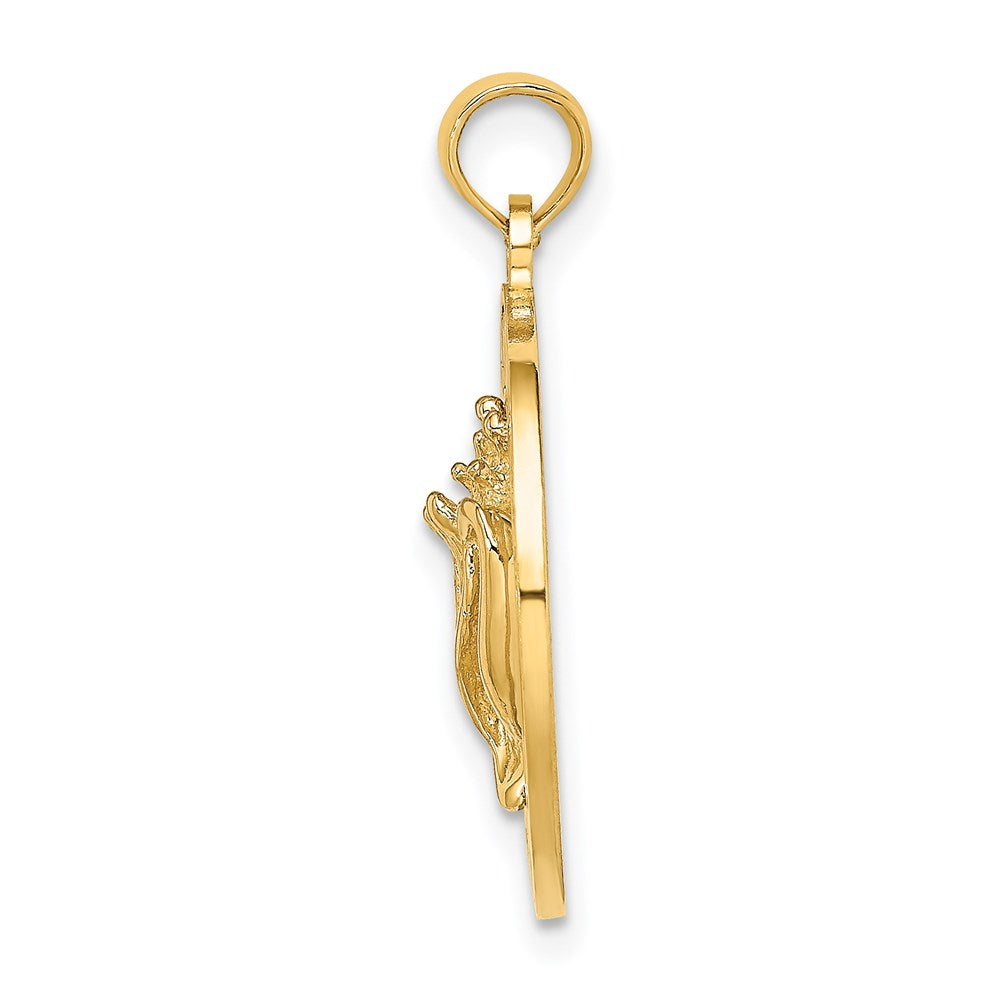 14K Gelbgold BAHAMAS Charm mit Muschelschale-Kreis (Conch Shell)