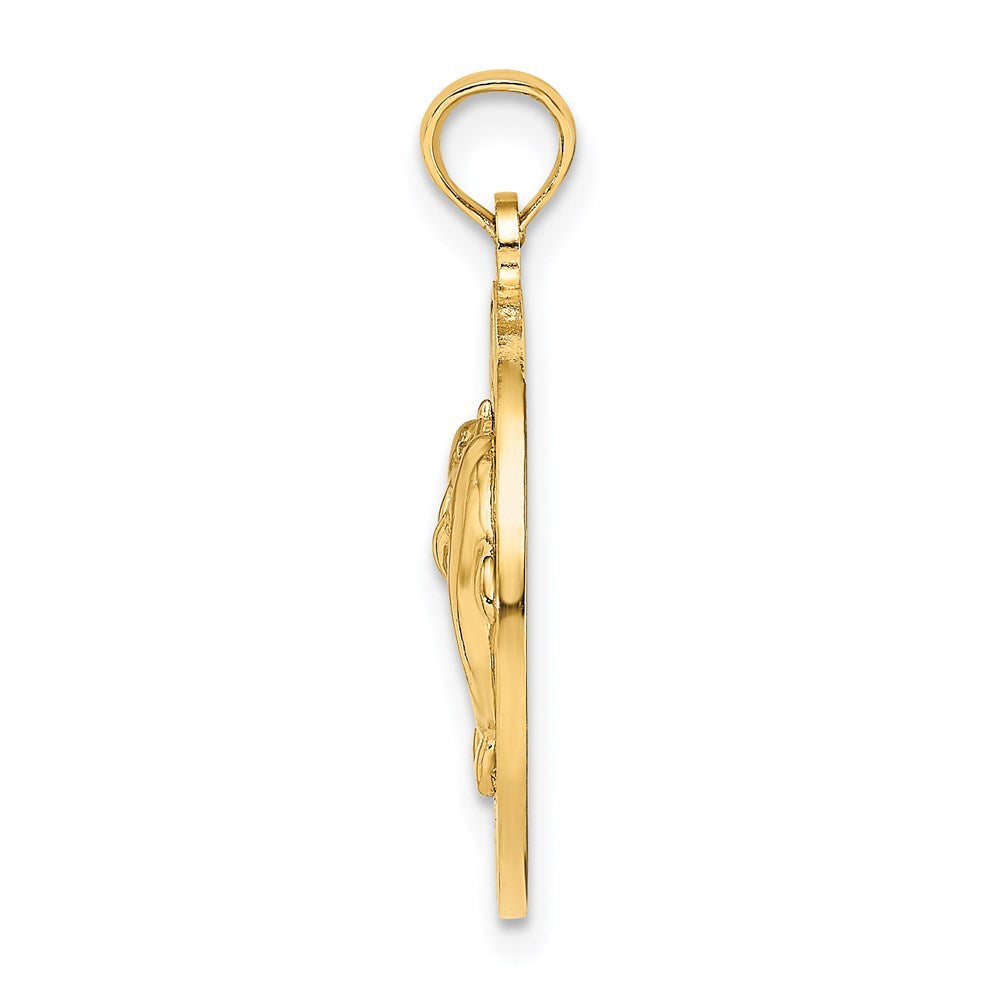 14K Gelbgold BAHAMAS Delfin-Charm