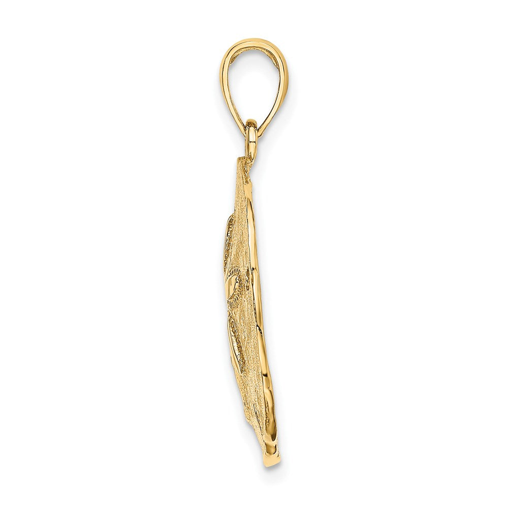 14K Gelbgold Polierter Sanddollar-Charm