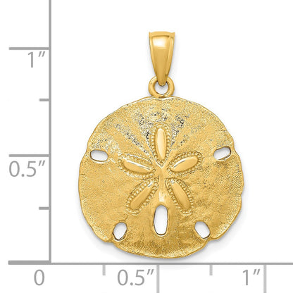 14K Gelbgold Polierter Sanddollar-Charm