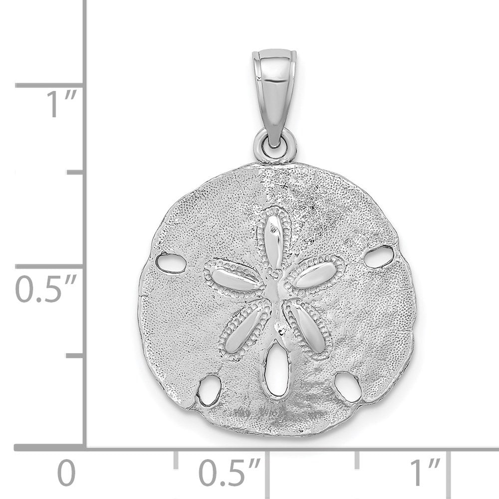 14K Weißgold Polierter Sanddollar-Charm