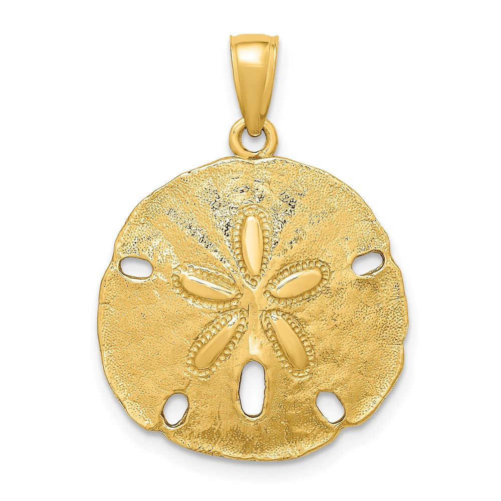 14K Gelbgold Polierter Sanddollar-Charm