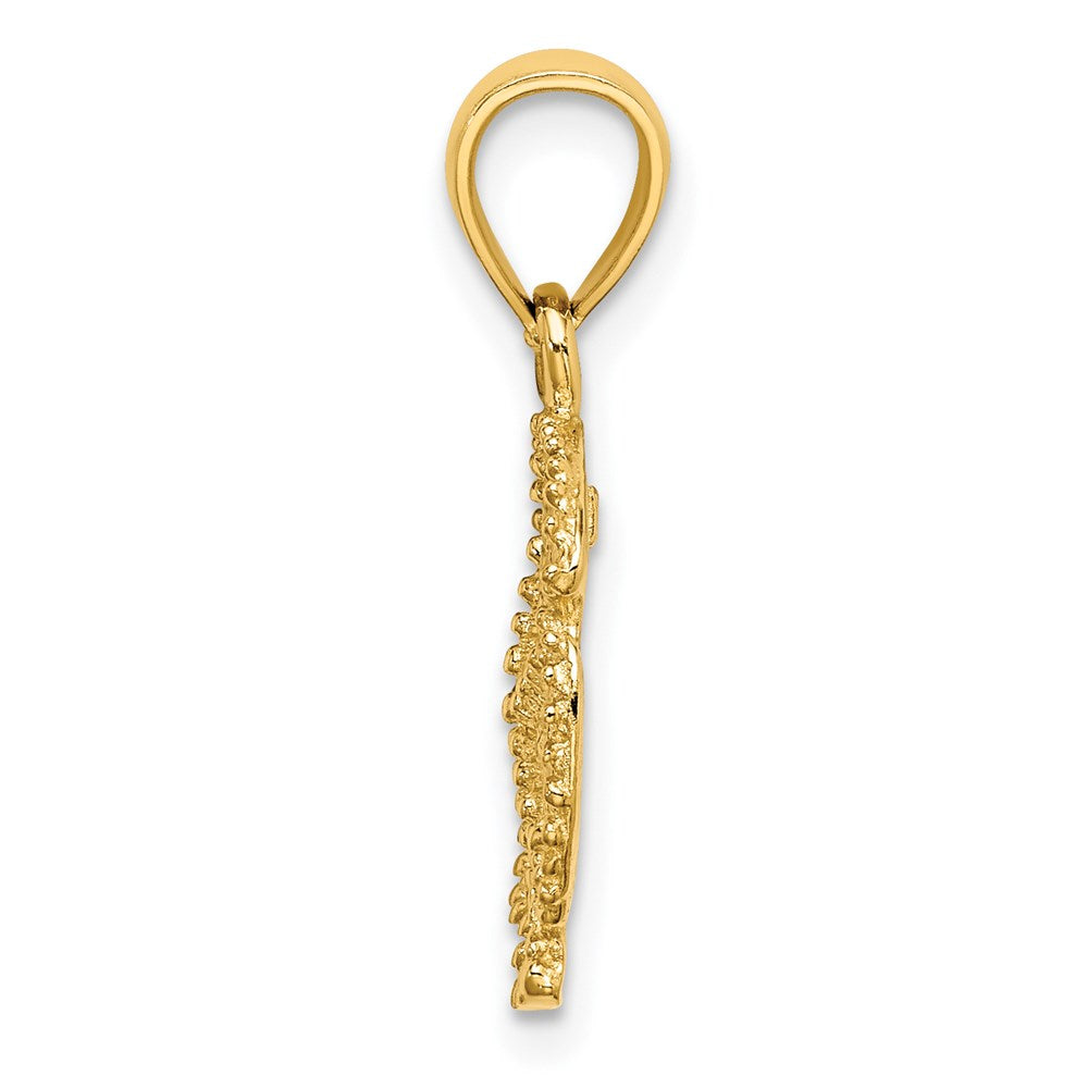 14K Gelbgold Seestern auf Sand Dollar Charm