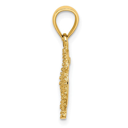 14K Gelbgold Seestern auf Sand Dollar Charm