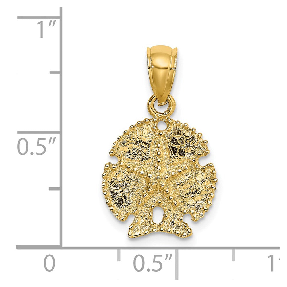 14K Gelbgold Seestern auf Sand Dollar Charm