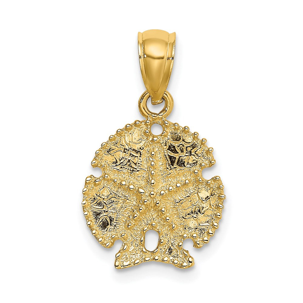14K Gelbgold Seestern auf Sand Dollar Charm