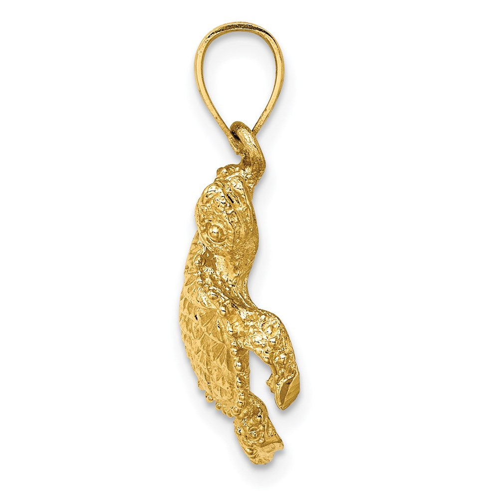 14 Karat Gelbgold Meeresschildkröten-Charm mit Schwanz